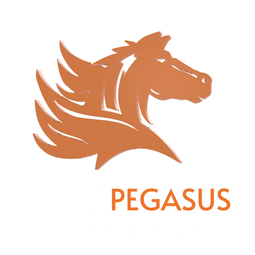 AssetPegasus Logo